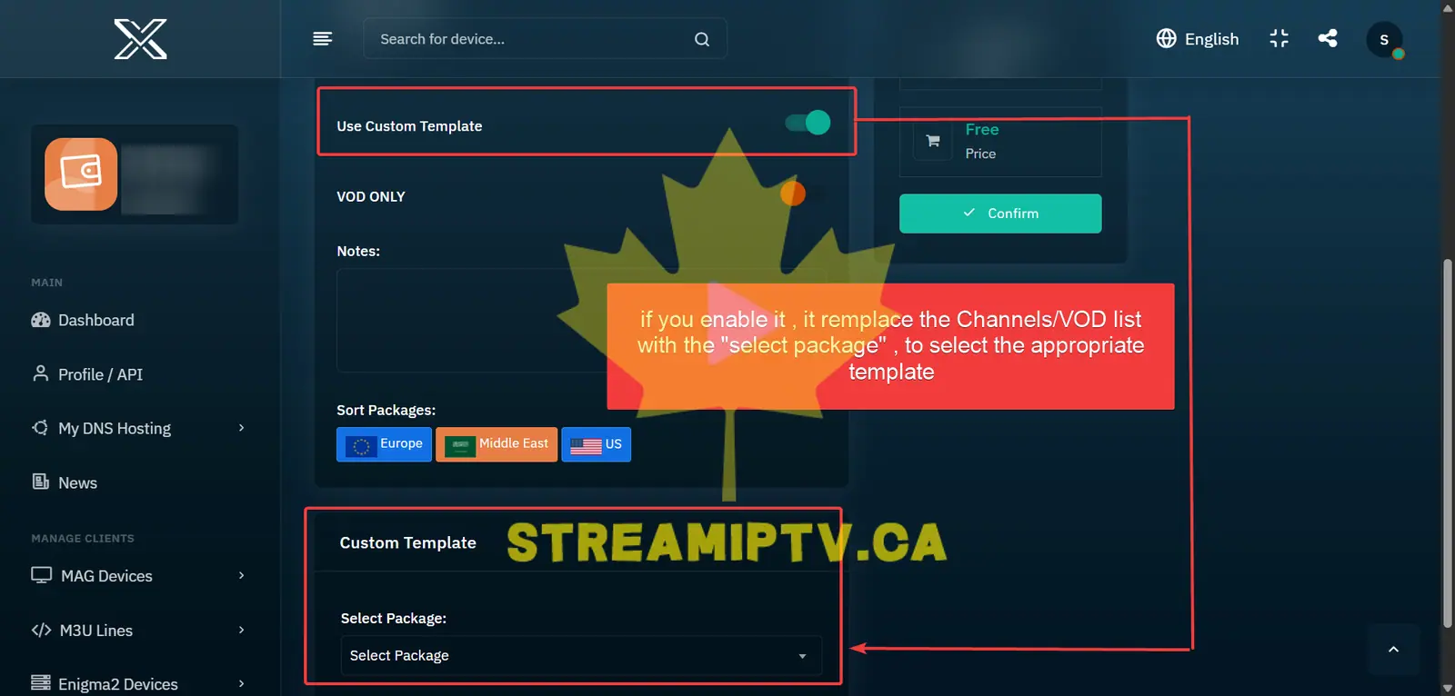 Choose Custom Template or Manual Selection ( optional )