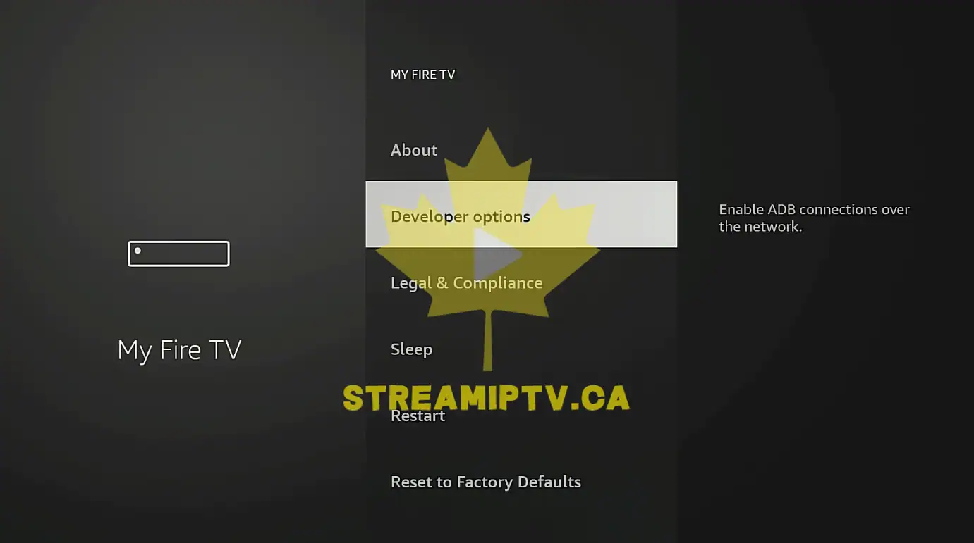 Amazon Fire TV My Fire TV Developer Options visible