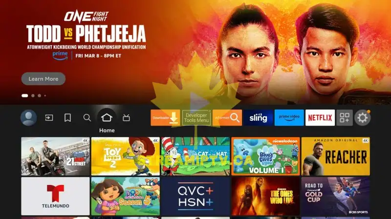 Amazon Fire TV home screen fully loaded