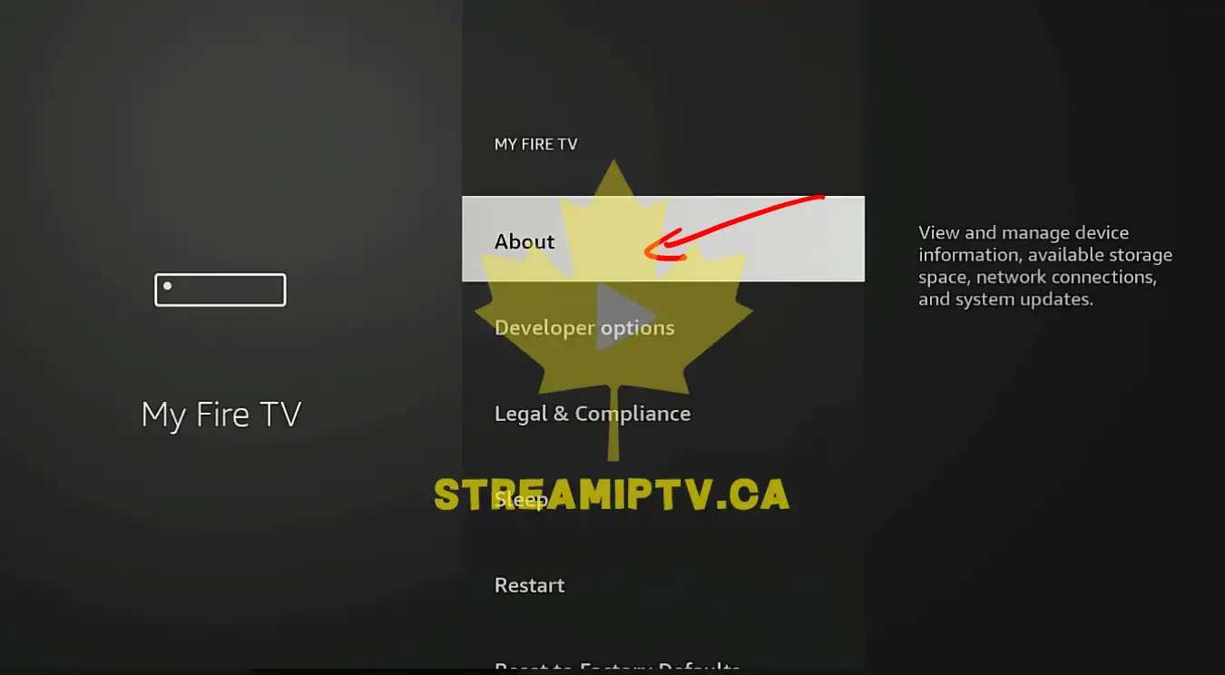 Amazon Fire TV My Fire TV About screen