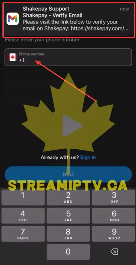Verify Your Email Later, Then Enter Your Phone Number