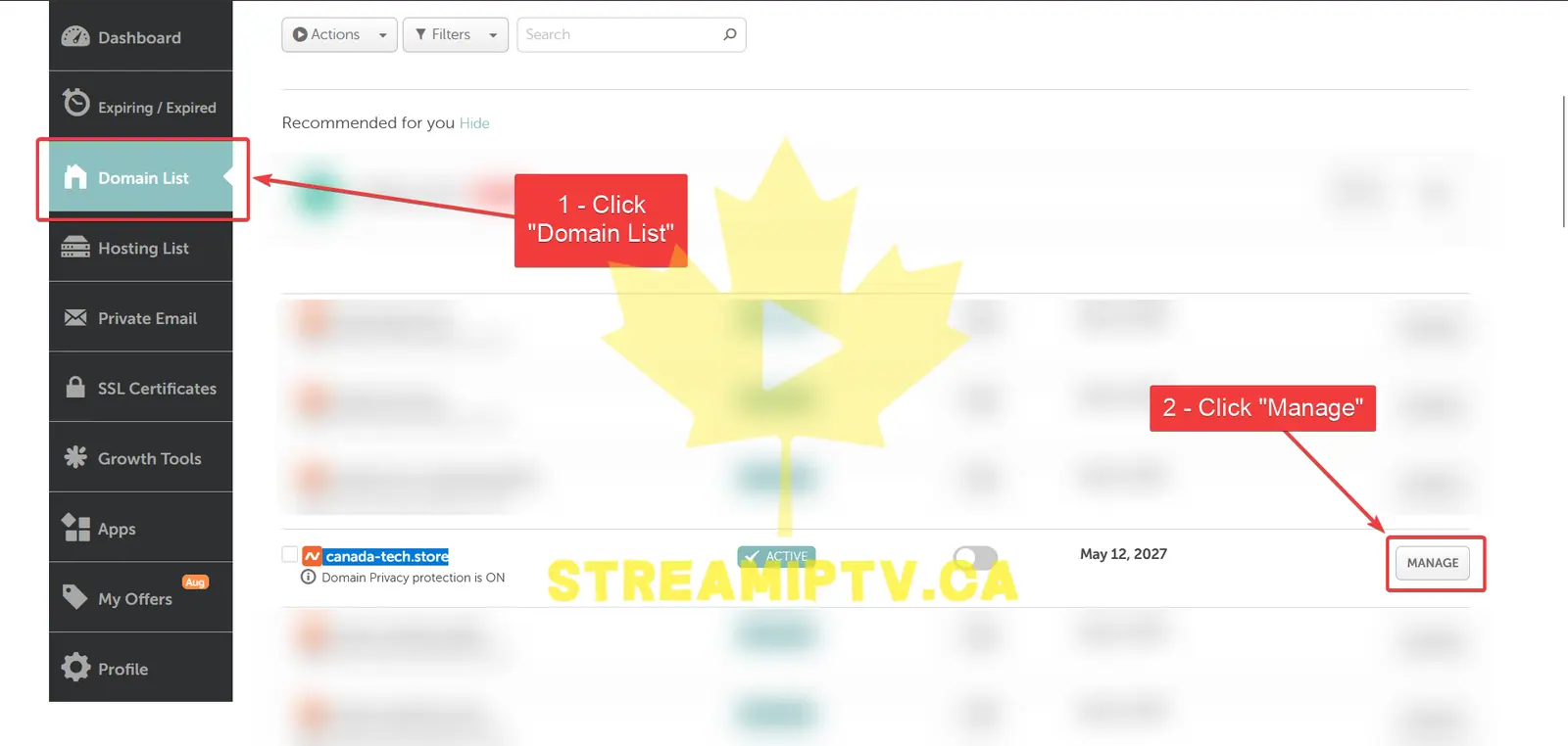 Go to Your Domain List
