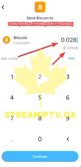 Enter the Bitcoin Amount to Send