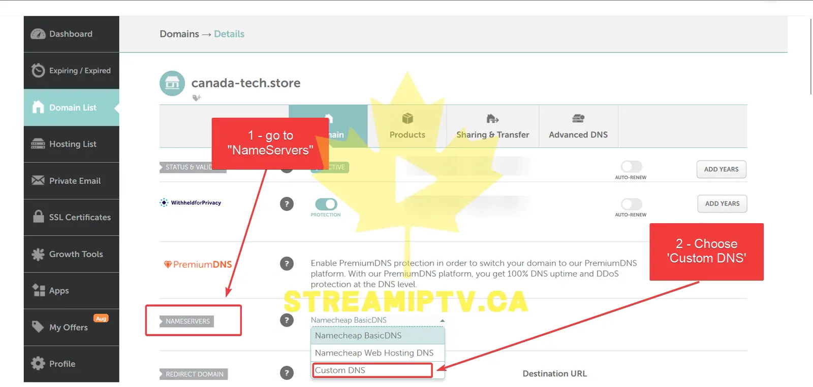 Select Custom DNS
