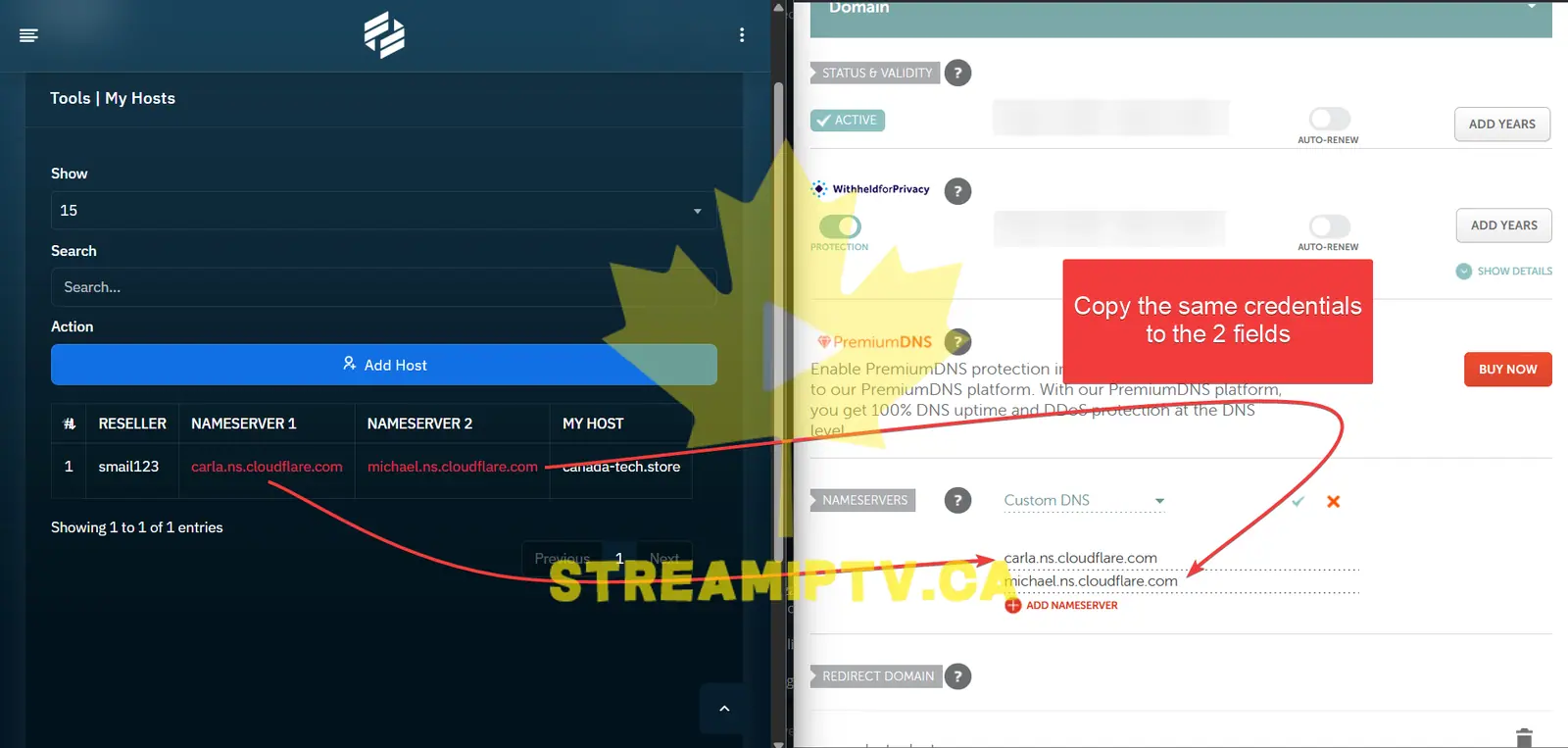 Paste the Custom Nameservers
