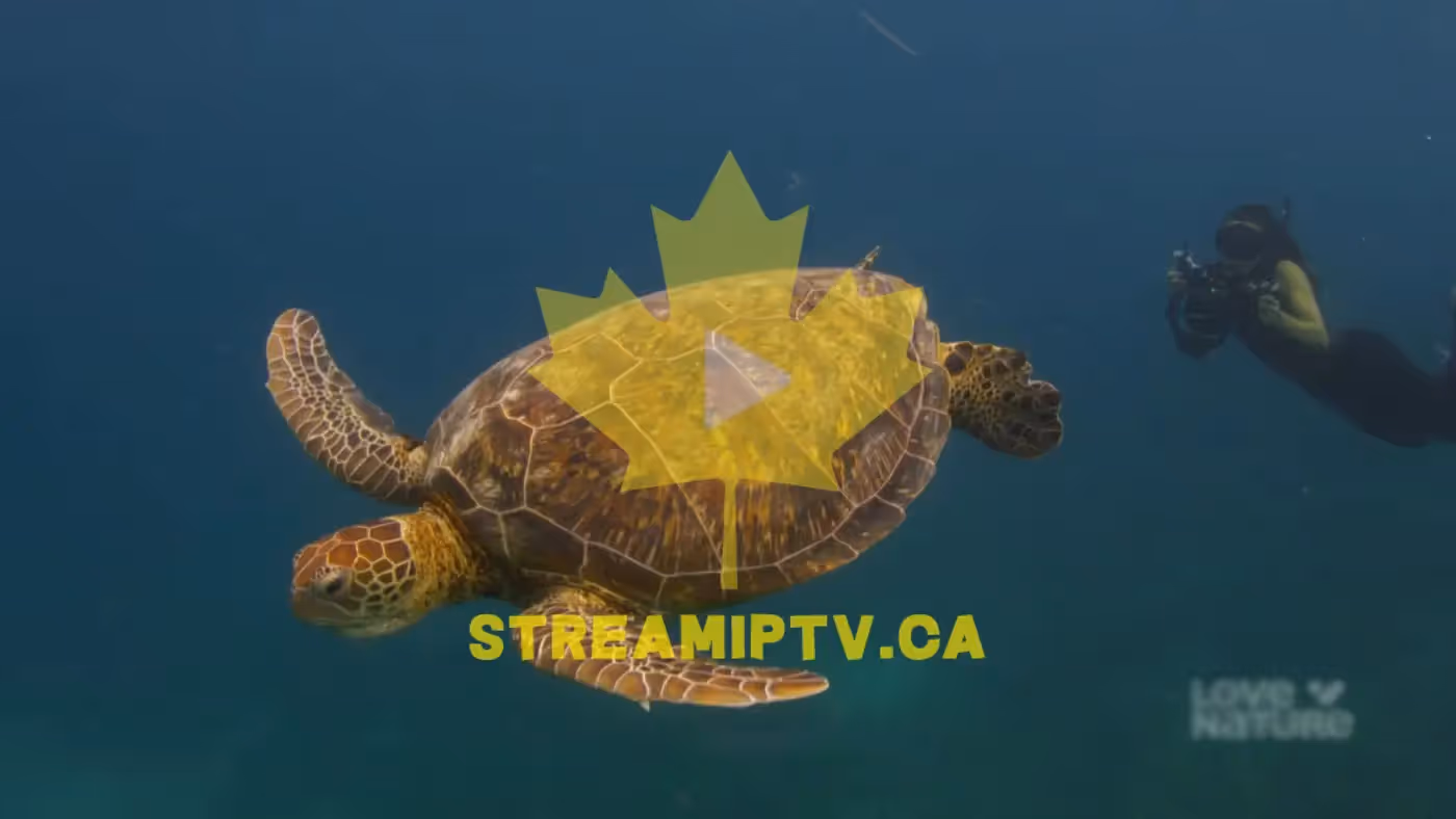 StreamIPTV live channels on a Smart TV — HD streaming in Canada