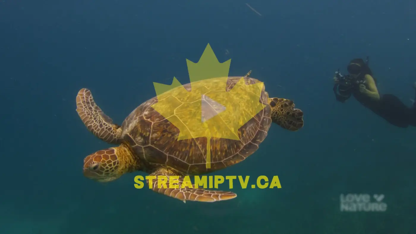 Chaînes StreamIPTV en direct sur Smart TV — streaming HD au Québec