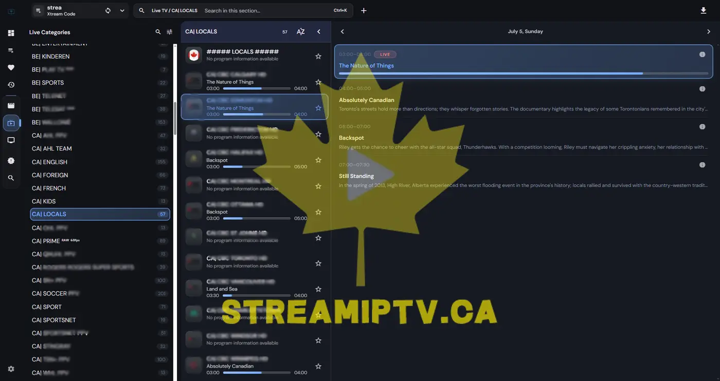 StreamIPTV Standard plan — HD channel list proof screenshot