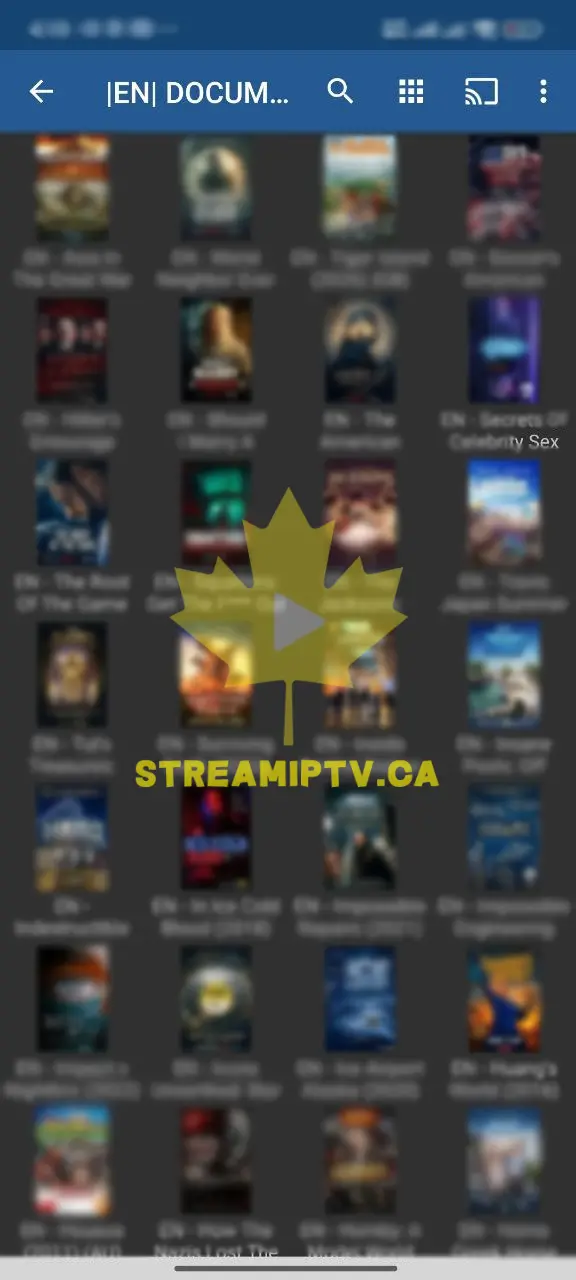Bibliothèque VOD StreamIPTV sur mobile — films et séries à la demande