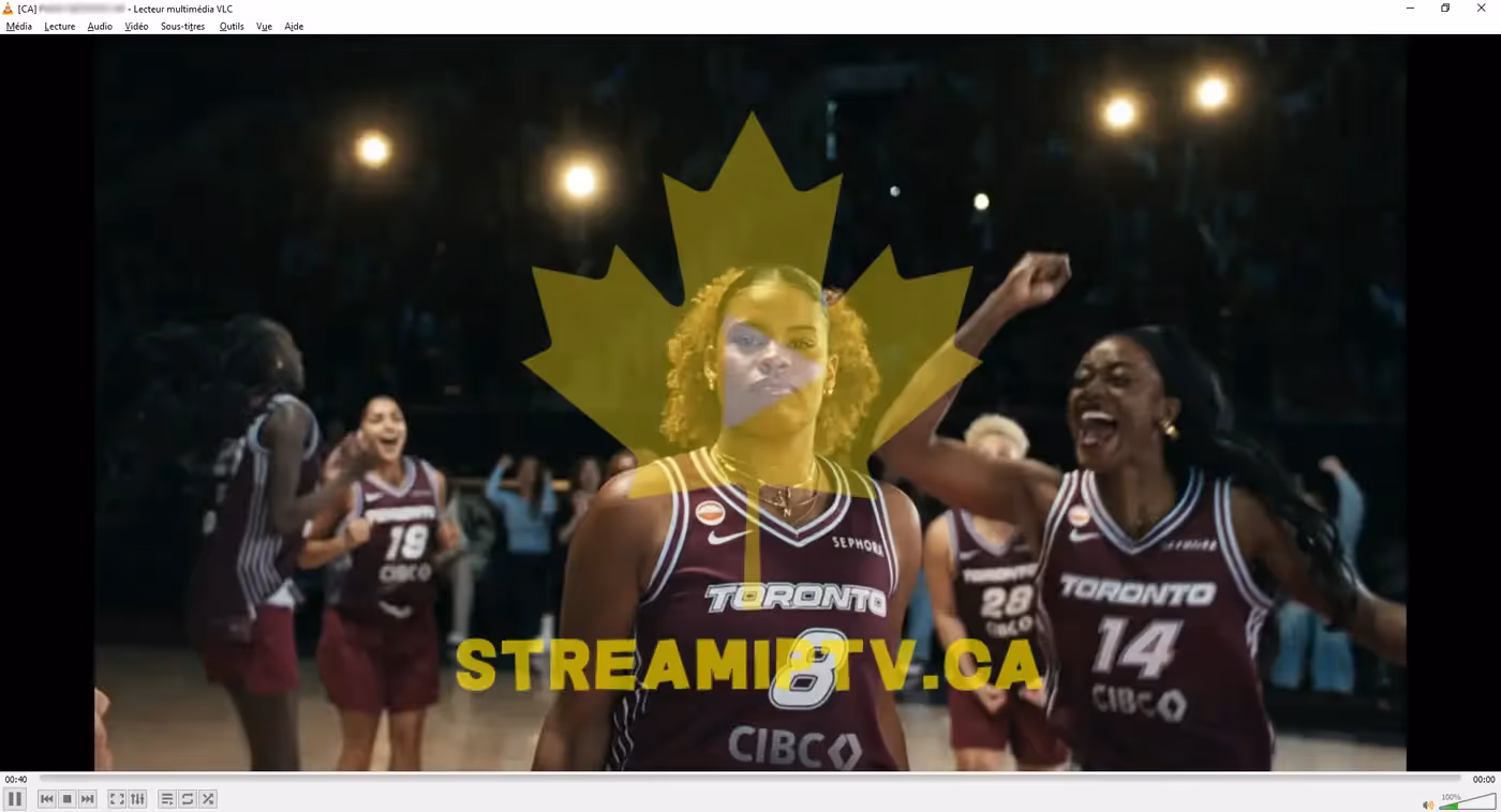 StreamIPTV web player in a browser — channel list and live stream