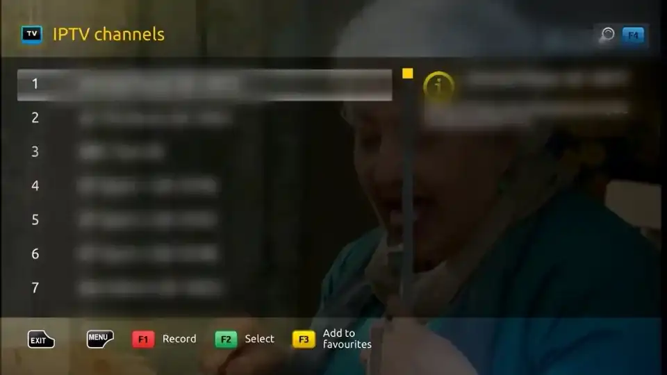 successful installation - all iptv channels displayed 